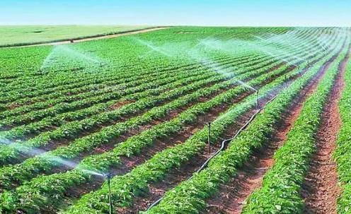 干妇女太太B永久网站农田高 效节水灌溉